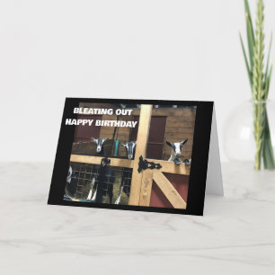 Carte COOL GOATS BLEAT OUT "HEUREUX 40ème anniversaire"