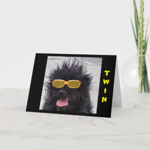 CARTE COOL PORTEUR DE CHIENS LUNETTES DE SOLEIL JEUX ANN