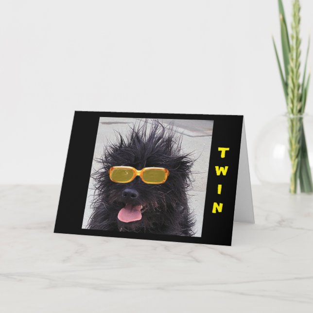 CARTE COOL PORTEUR DE CHIENS LUNETTES DE SOLEIL JEUX ANN (Devant)