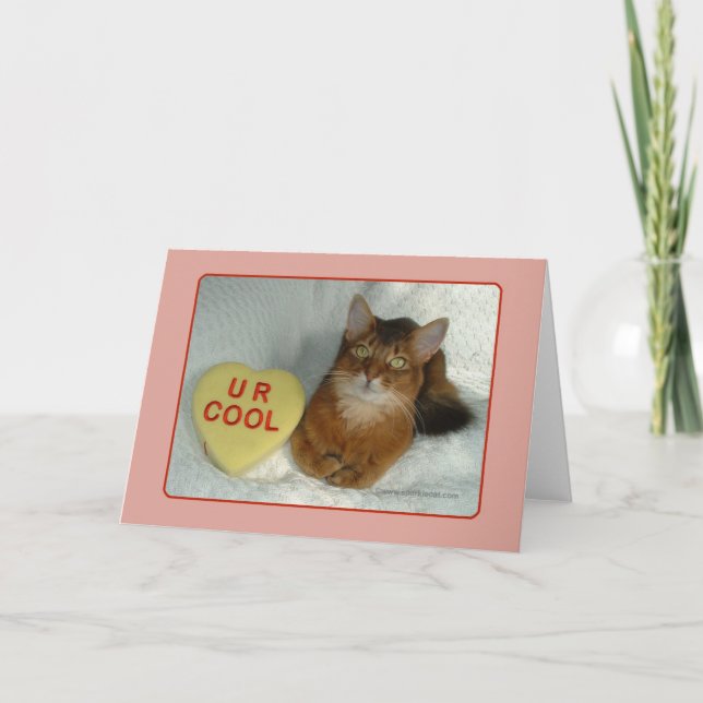 Carte Cool Valentine Kitty U R (Devant)