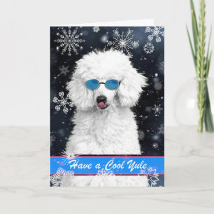 Carte Cool Yule Noël caniche blanche avec des flocons de