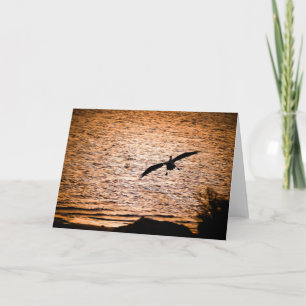 Carte Coorong Pelican sur Dusk