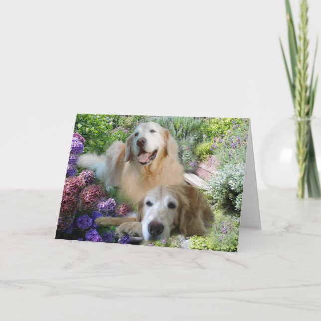Carte Copains Golden Retriever (Devant)