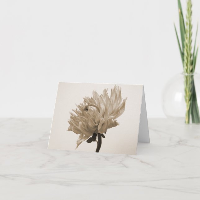 Carte copie de sépia de dahlia (Devant)