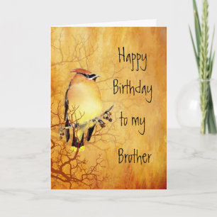 Carte Copper Cedar Waxwing Bird Brother Birthday