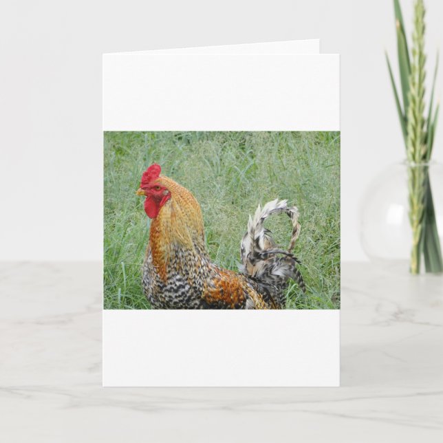 Carte Coq (Devant)