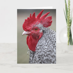 Carte Coq dit bonjour