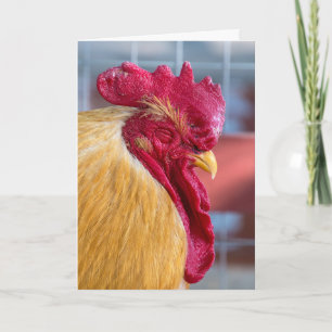 Carte coq dormant pour humour d'anniversaire