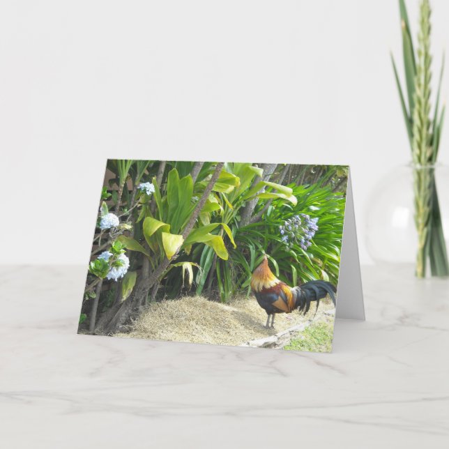 Carte Coq Nature Vierge (Devant)
