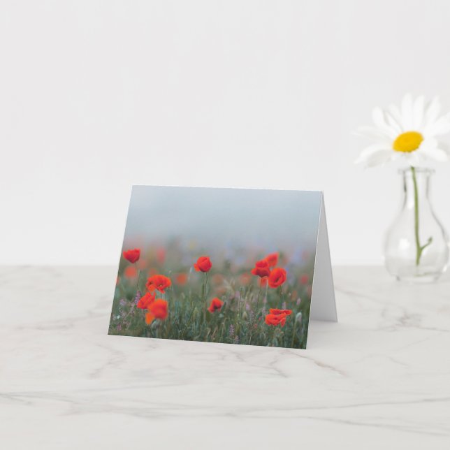Carte Coquelicots rouges doux dans un champ brumeux, Com (Petite plante)