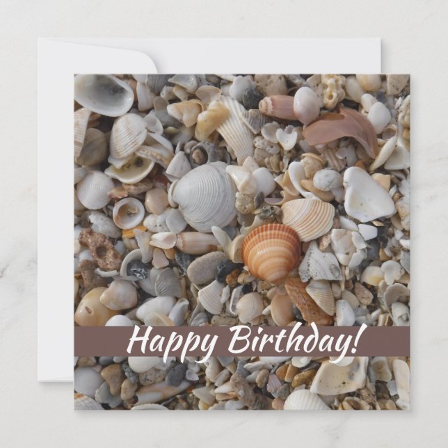 Carte Coquillages D'Anniversaire Sur La Mer (Devant)
