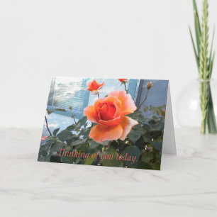 Carte Coral Rose Card, Je pense à vous aujourd'hui.