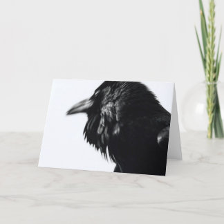 Carte Corax de Corvus (Raven commun)