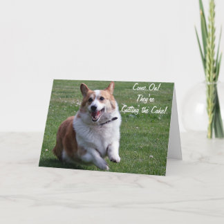 Carte Corgi