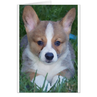 Carte Corgi