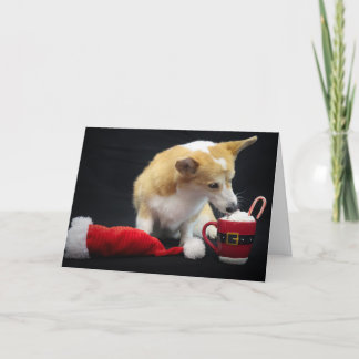 Carte Corgi de Noël mangeant de la crème fouettée