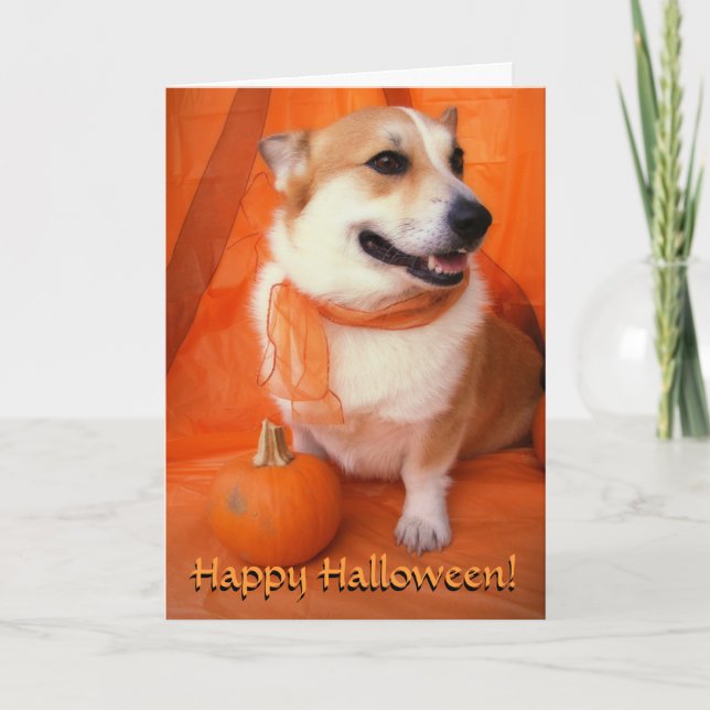 Carte Corgi Halloween (Devant)