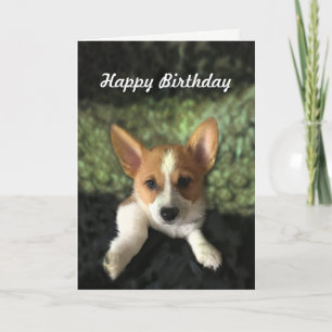 Carte Corgi Puppy Joyeux anniversaire