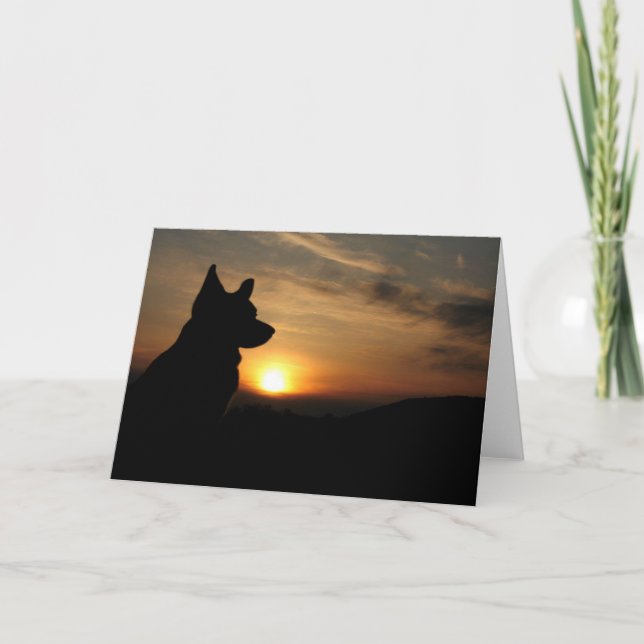Carte Corgi vierge au coucher du soleil (Devant)