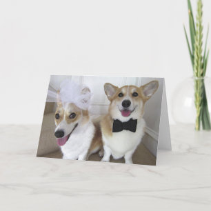 Carte corgis habillés vers le haut de comme des jeunes
