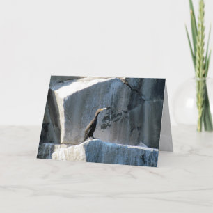 Carte Cormorant sur les rochers