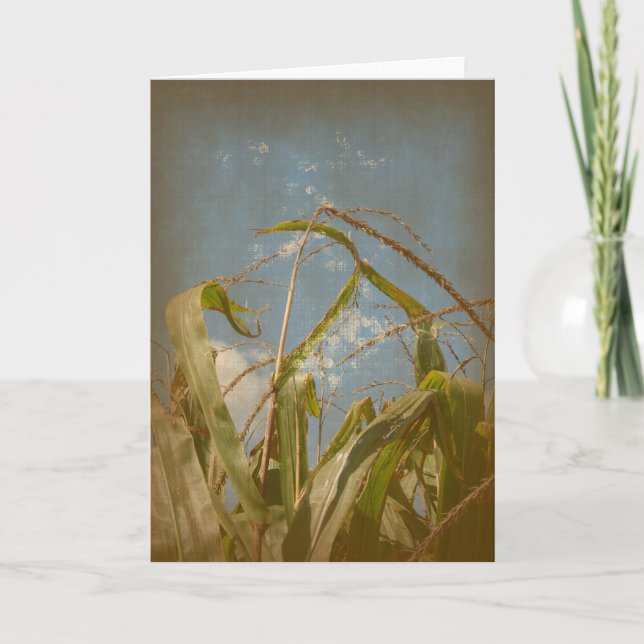 Carte Corn Rural Grunge Toutes Les Occasions (Devant)
