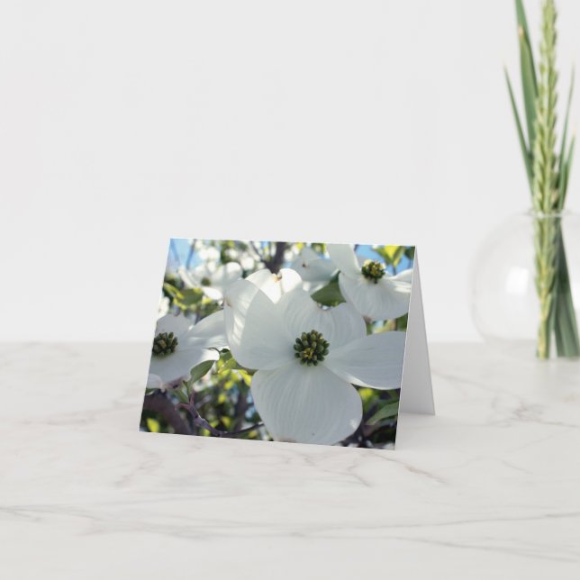 Carte Cornouillers (Devant)