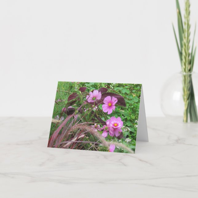 Carte Cosmos rose avec Coleus (Devant)