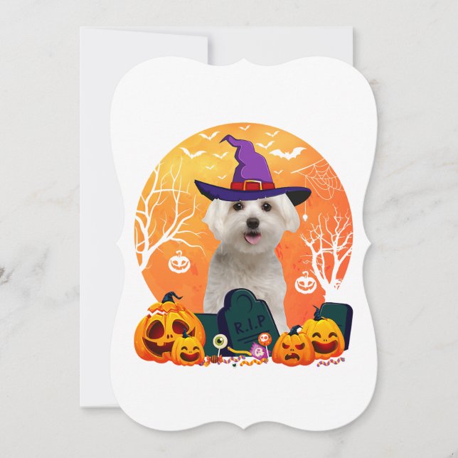 Carte costume d'halloween maltais mignon amoureux des ch (Devant)