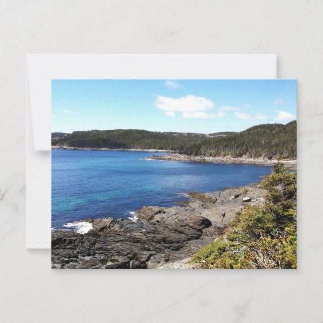 Carte Côte Est de Terre-Neuve (Devant)