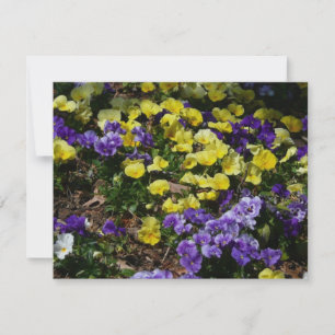 Carte Coteau de panneaux violets et jaunes