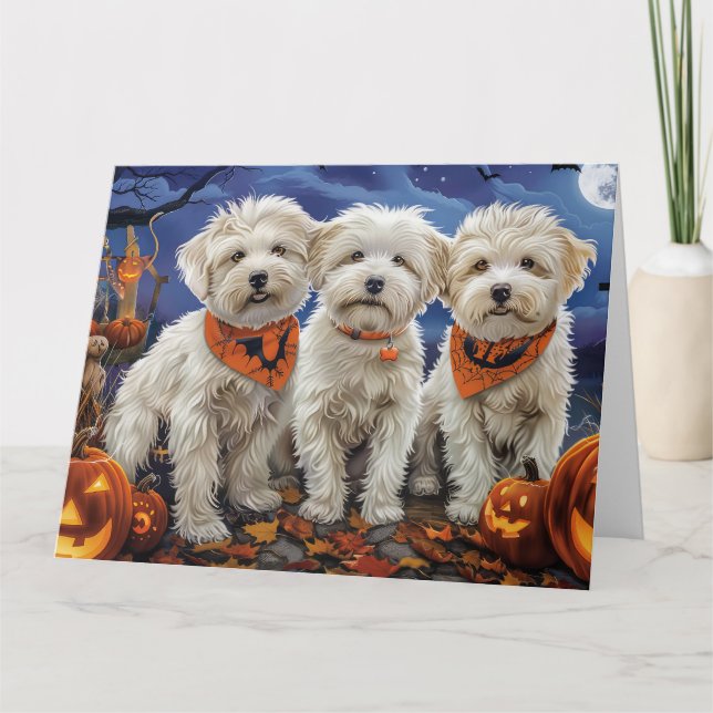 Carte Coton De Tulear Halloween Éffrayant (Devant)