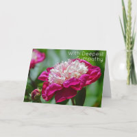 Cottage rose Peony Jardin Fleur plus profonde Symp