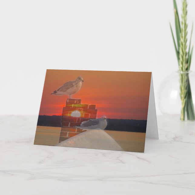 Carte Coucher de soleil avec mouettes (Devant)
