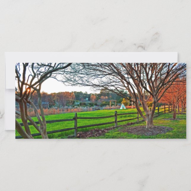 Carte Coucher de soleil d'automne par Shirley Taylor (Devant)