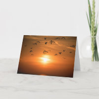Coucher de soleil sur le lac Michigan pour les con