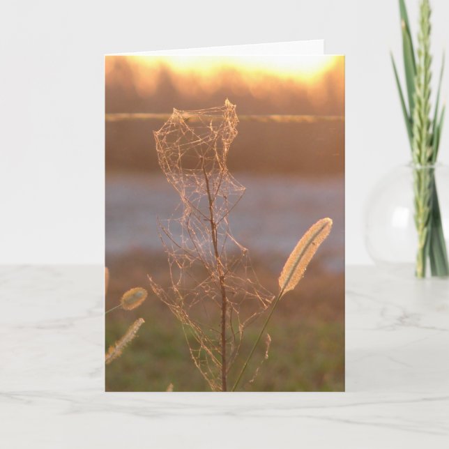 Carte Coucher du soleil (Devant)