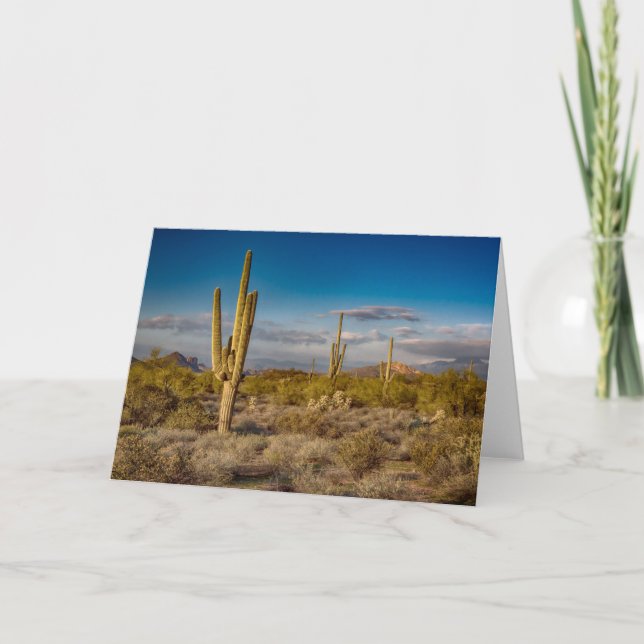 Carte Coucher du soleil de cactus en Arizona (Devant)