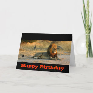 Carte Coucher du soleil de lion de joyeux anniversaire