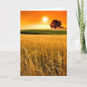 Carte Coucher du soleil rouge sang