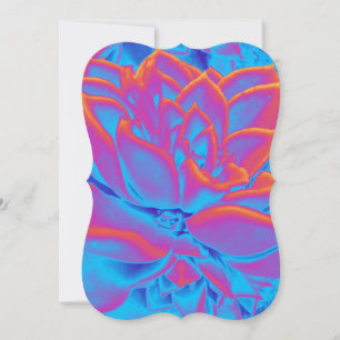 Carte Couleur arc-en-ciel plante Succulent
