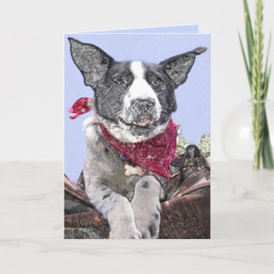 Carte Couleur de bordure mignonne Mix Chien Croquis d'ar