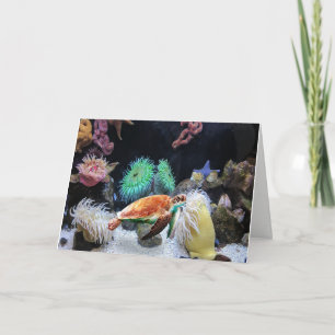 Carte couleur Sea life Note