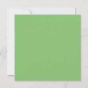 Carte Couleur solide verte à la noix de pistache