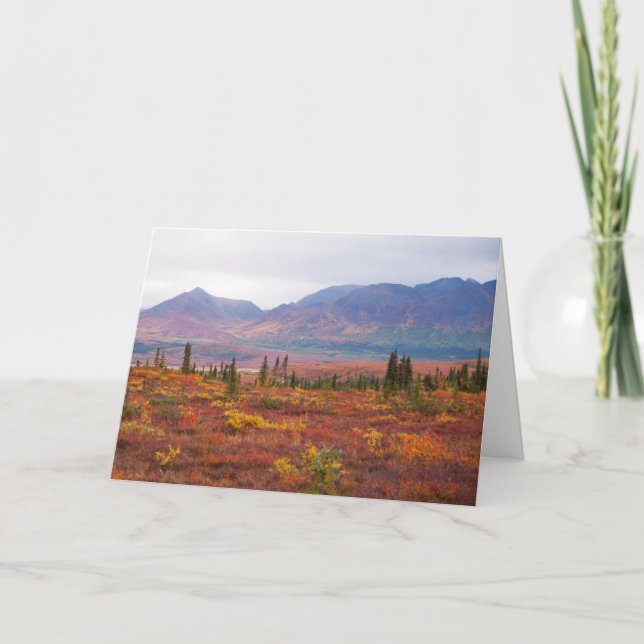 Carte Couleurs D'Automne Dans Le Parc National Denali, A (Devant)