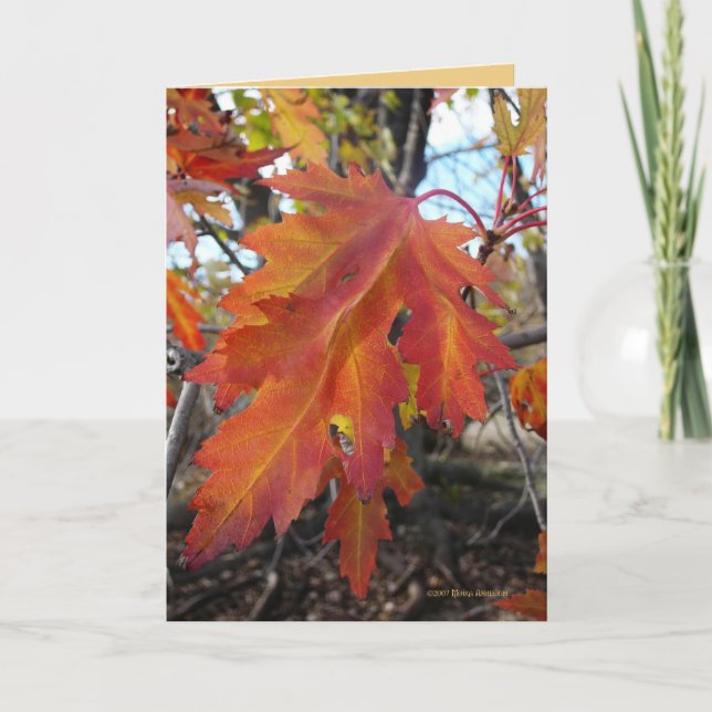 Carte Couleurs vraies (Devant)