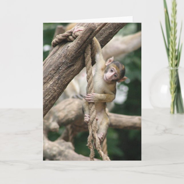 Carte Coup dedans là (Devant)