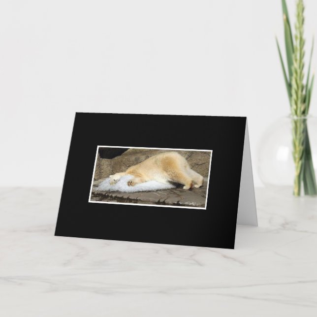 Carte coup manqué d'ours blancs vous (Devant)