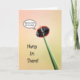 Carte Coup mignon dans là la coccinelle