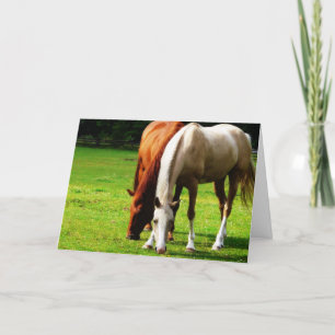 Carte Couple de cheval Biracial
